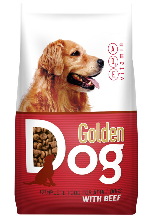 Golden Dog ძაღლი